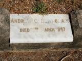 image of grave number 865713